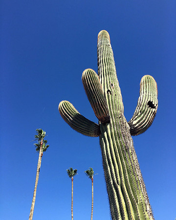 Skyward