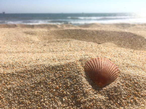 Sweet Sands