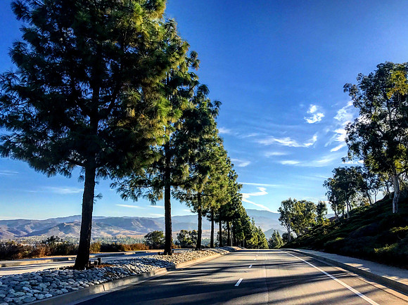 Canyon View Drive