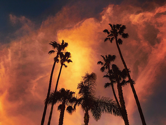Sunset Glory